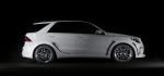 Mercedes-Benz M-Class Black Bison by Wald 2014 года